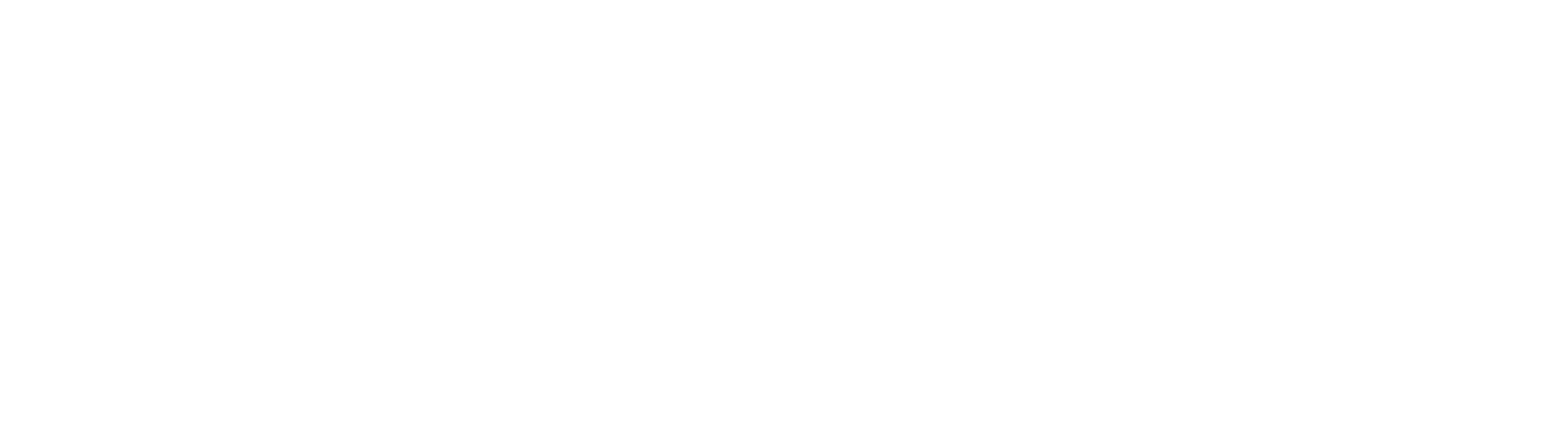 The Business Academy